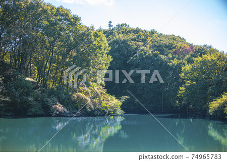 東京都八王子市 長池公園月池 照片素材 圖片 圖庫