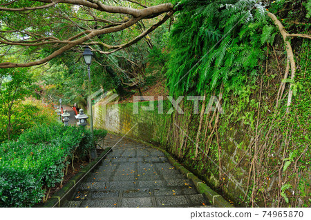 New Taipei City, Xizhi, Xizhi Gongbei Hall, temples, tree roots, ferns New Taipei City, Xizhi, Xizhi Gongbei Hall, temples, tree roots, ferns 74965870
