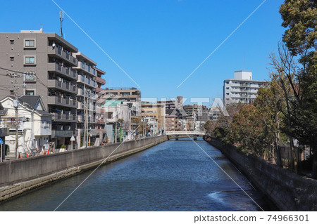 從藤橋(神奈川縣橫濱市西區)看到的新多拉川 從藤橋(神奈川縣橫濱市西區)看到的新多拉川 74966301