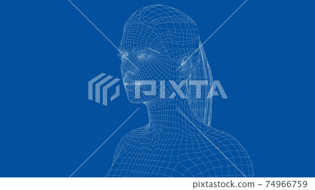Wireframe portrait of a young beautiful girl 74966759