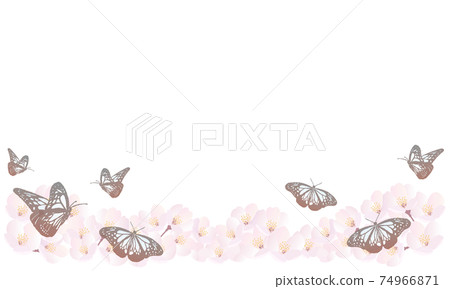 櫻花和栗子虎背景白色 74966871