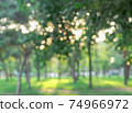 Defocused bokeh blurred background of green trees and grassland the sunlight in the evening day 74966972