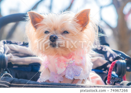 Funny Pictures Funny Pictures 74967266