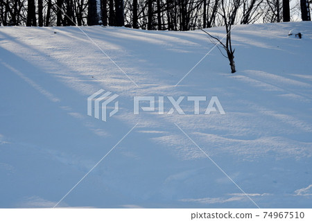 白雪皚皚的公園 白雪皚皚的公園 74967510