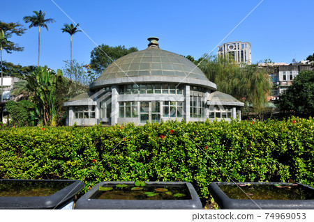 台北市,行政院農業委員會林業試驗所,林業試驗所,植物,植物園 74969053