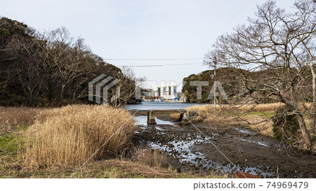 Koajiro no Mori, Miura City, Kanagawa Prefecture, Shonan Miura Peninsula Koajiro no Mori, Miura City, Kanagawa Prefecture, Shonan Miura Peninsula 74969479