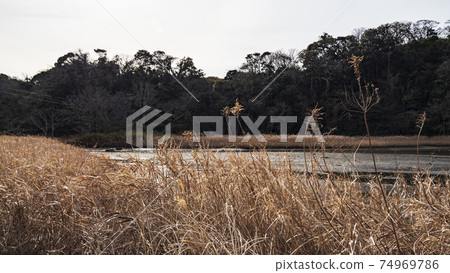 Koajiro Bay, an unexplored region of the Greater Tokyo Area Koajiro Bay, an unexplored region of the Greater Tokyo Area 74969786