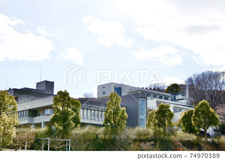 多摩美術大學 74970389