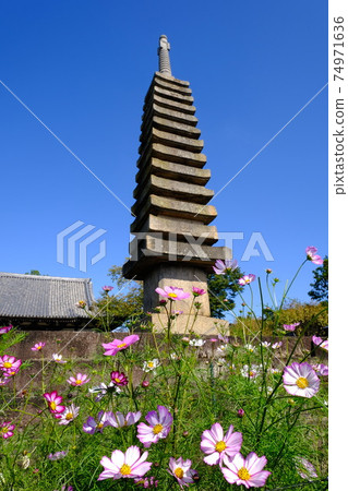 奈良古城漢娜吉寺的13層石塔和宇宙 奈良古城漢娜吉寺的13層石塔和宇宙 74971636