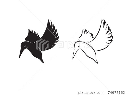 Vector of kingfishers bird design isolated on white background. Easy editable layered vector illustration. Wild Animals. 74972162