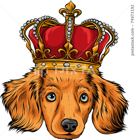 vector head Dog king in white background vector head Dog king in white background 74973192