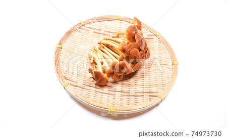 野生物種Enokitake白色背景 74973730