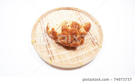 Wild species Enokitake white background 74973737