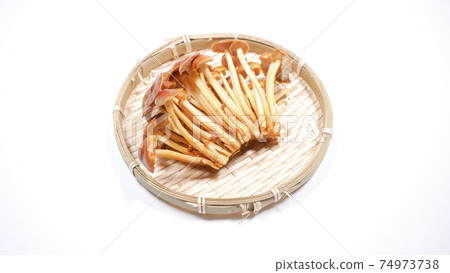 Wild species Enokitake white background 74973738