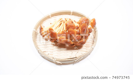 Wild species Enokitake white background Wild species Enokitake white background 74973745
