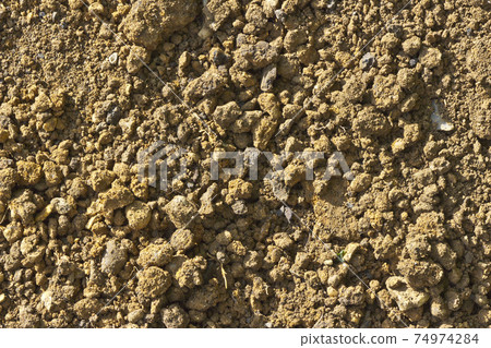Detail of dry brown soil from a garden Detail of dry brown soil from a garden 74974284