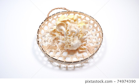 Fresh Pleurotus cornucopiae white background 74974390