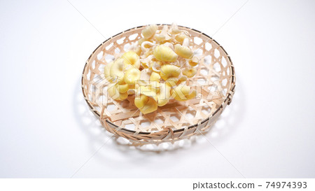 Fresh Pleurotus cornucopiae white background 74974393