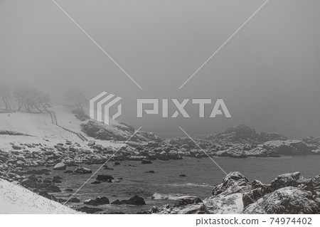 Tanesashi Coast in the midwinter (Sanriku Fukko National Park) 74974402