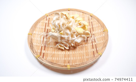 新鮮的杏鮑菇白色背景 74974411