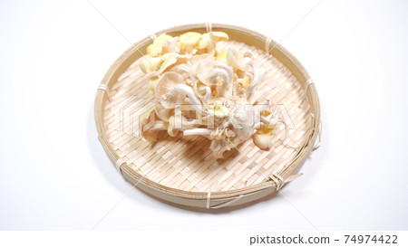 新鮮的杏鮑菇白色背景 74974422