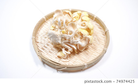 新鮮的杏鮑菇白色背景 74974425