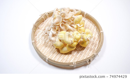 新鮮的杏鮑菇白色背景 74974429