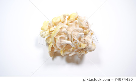 新鮮的杏鮑菇白色背景 74974450