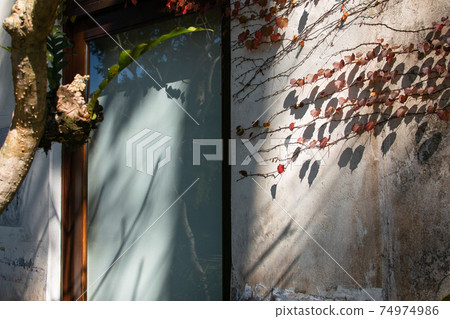 Sun Moon Lake, Nantou, cherry blossom, season, spring, light and shadow, wall, decoration, background Sun Moon Lake, Nantou, cherry blossom, season, spring, light and shadow, wall, decoration, background 74974986