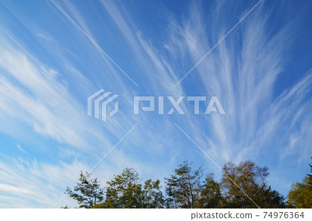 Autumn streak clouds Autumn streak clouds 74976364