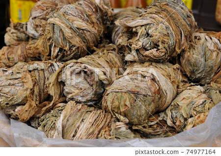 客家福菜,福菜,芥菜,福菜節,梅干菜,農業,農作物 74977164