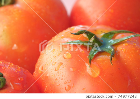 fresh tomato with water drop close up fresh tomato with water drop close up 74977248