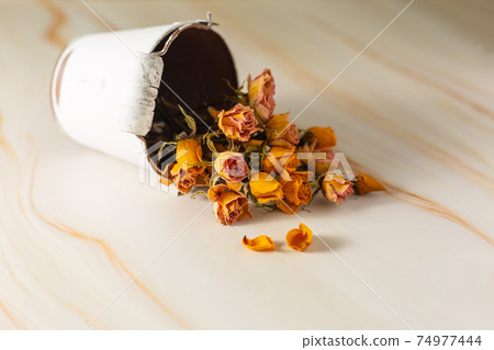 一桶幹的月季花 一桶幹的月季花 74977444