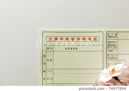 65歲以上的長期護理保險被保險人證明書 65歲以上的長期護理保險被保險人證明書 74977804