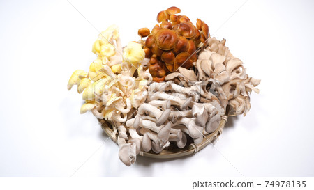 很多在白色背景上的蘑菇 74978135