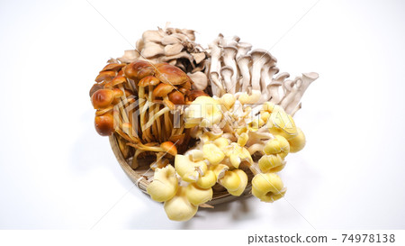 很多在白色背景上的蘑菇 很多在白色背景上的蘑菇 74978138
