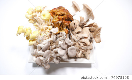 很多在白色背景上的蘑菇 74978198