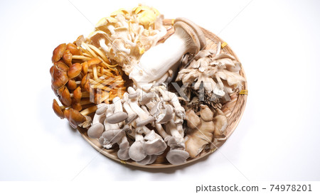 Lots of mushrooms on a white background 74978201