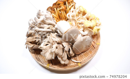 很多在白色背景上的蘑菇 74978204