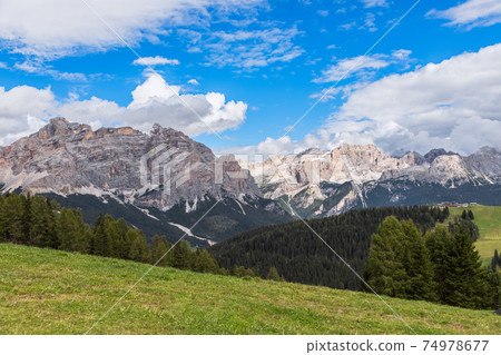 Picturesque meadow in the Italian Dolomites. Trentino Alto Adige Picturesque meadow in the Italian Dolomites. Trentino Alto Adige 74978677