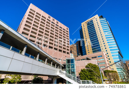 Juntendo大學,Tokyo Medical and Dental University等日本東京城市景觀的視圖 Juntendo大學,Tokyo Medical and Dental University等日本東京城市景觀的視圖 74978861
