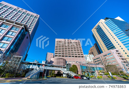 Juntendo大學,Tokyo Medical and Dental University等日本東京城市景觀的視圖 Juntendo大學,Tokyo Medical and Dental University等日本東京城市景觀的視圖 74978863