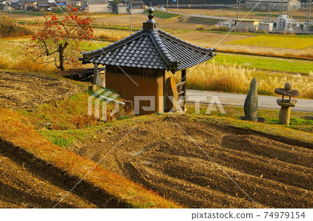 岡山縣碧生町與Tsu堂的田野景觀 岡山縣碧生町與Tsu堂的田野景觀 74979154
