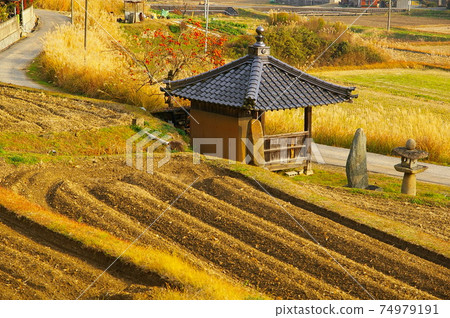 Bisei Town, Okayama Prefecture, a field landscape with Tsujido Bisei Town, Okayama Prefecture, a field landscape with Tsujido 74979191