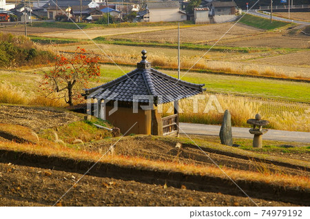 Bisei Town, Okayama Prefecture, a field landscape with Tsujido Bisei Town, Okayama Prefecture, a field landscape with Tsujido 74979192