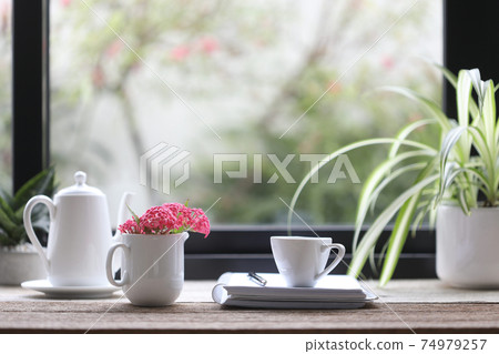 Panama Rose and white teapot and cup with notebook and green plant on wooden table Panama Rose and white teapot and cup with notebook and green plant on wooden table 74979257