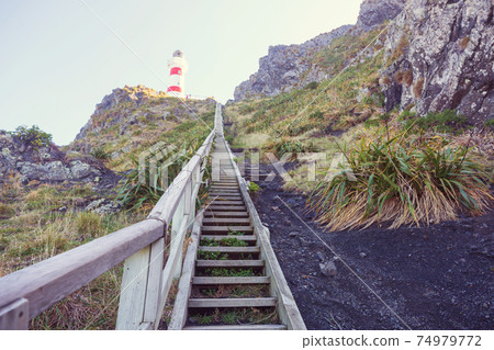 Lighthouse Lighthouse 74979772