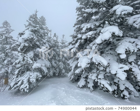 2021年在福島縣的Grandeco滑雪勝地 2021年在福島縣的Grandeco滑雪勝地 74980044