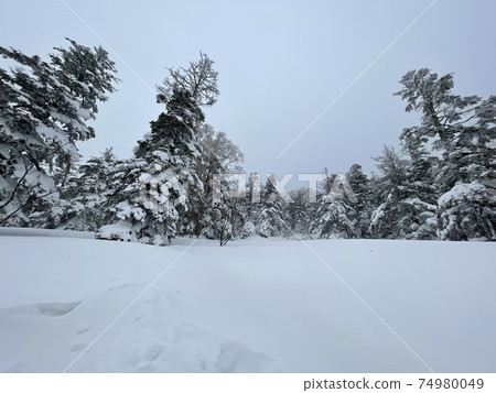 Grandeco Ski Resort in Fukushima Prefecture in 2021 Grandeco Ski Resort in Fukushima Prefecture in 2021 74980049