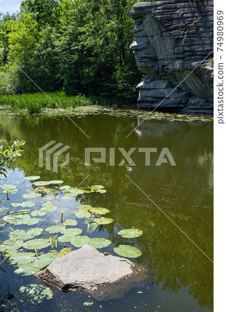 Buky Canyon summer landscape, Hirskyi Tikych river, Cherkasy Region, Ukraine. 74980969
